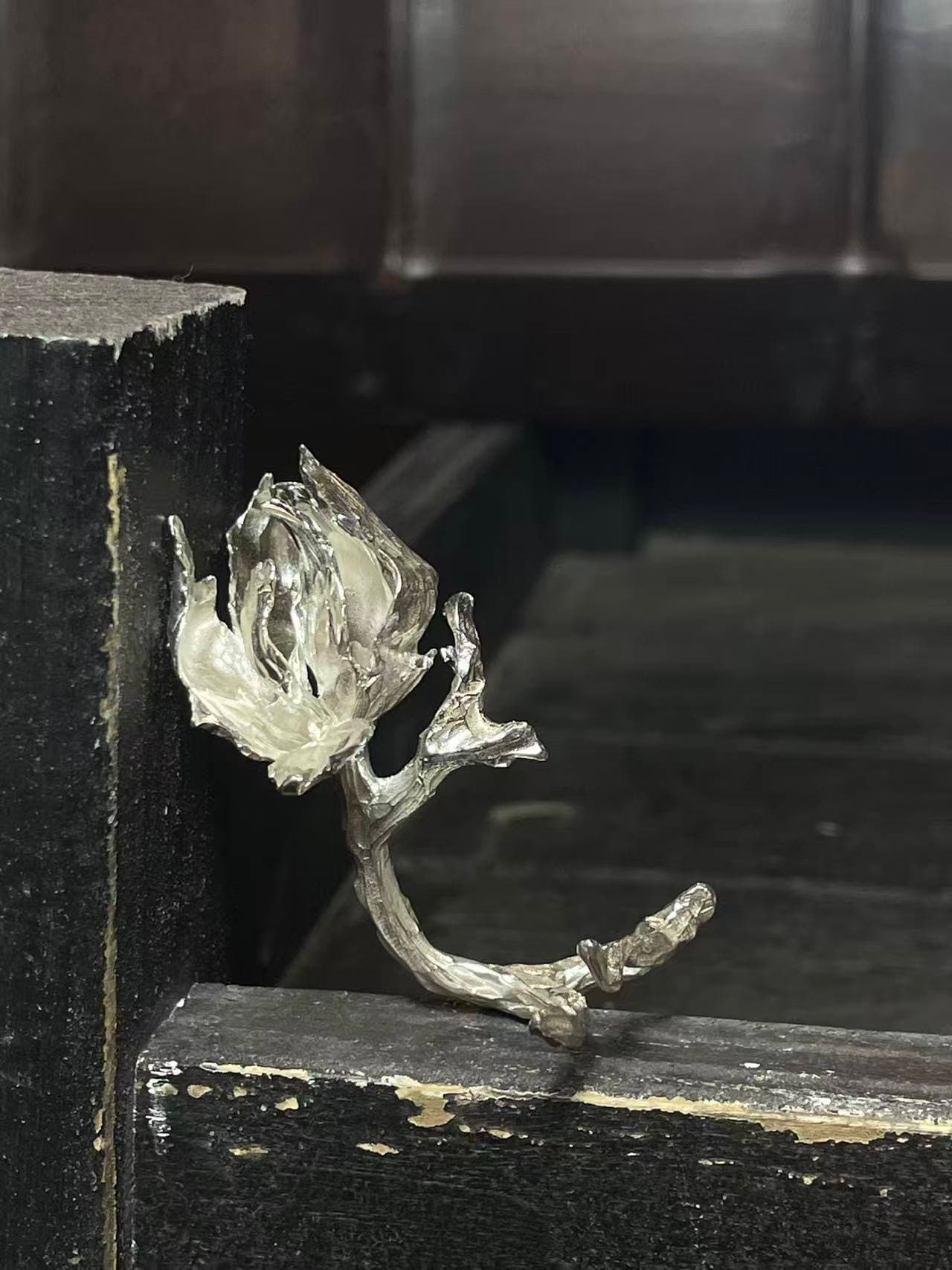 Untitled Ring 05