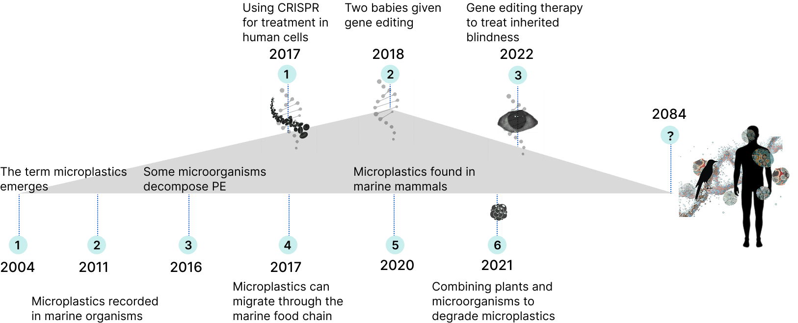 Timeline connecting microplastic contamination and biological interventions to a speculative future.