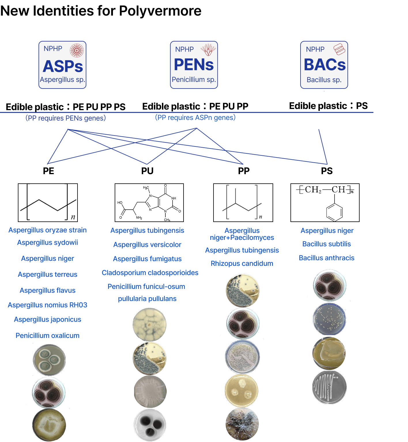 Guide to Polyvermore identities, edible plastics and associated organisms.
